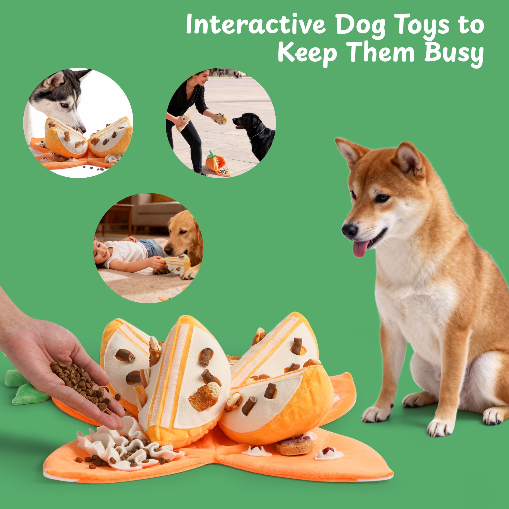 Nocciola Juguete chirriante Interactivo para Perros, 5 en 1, Tema Naranja, Juguete de Peluche de Inteligencia con Rompecabezas para Mantener a los Perros ocupados, Hide and Seek para Perros pequeños