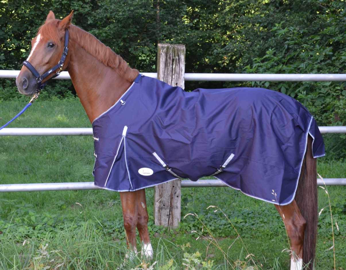 AMKA Coperta Impermeabile Per Cavalli Vardo – 600D Ripstop, Traspirante, 0g Imbottitura, Blu Scuro