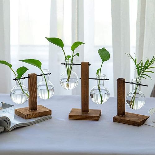 Miniatura 4 de Jarrón de cristal para maceta, kit de terrario para plantas de escritorio con soporte de madera maciza retro para plantas hidropónicas, hogar,