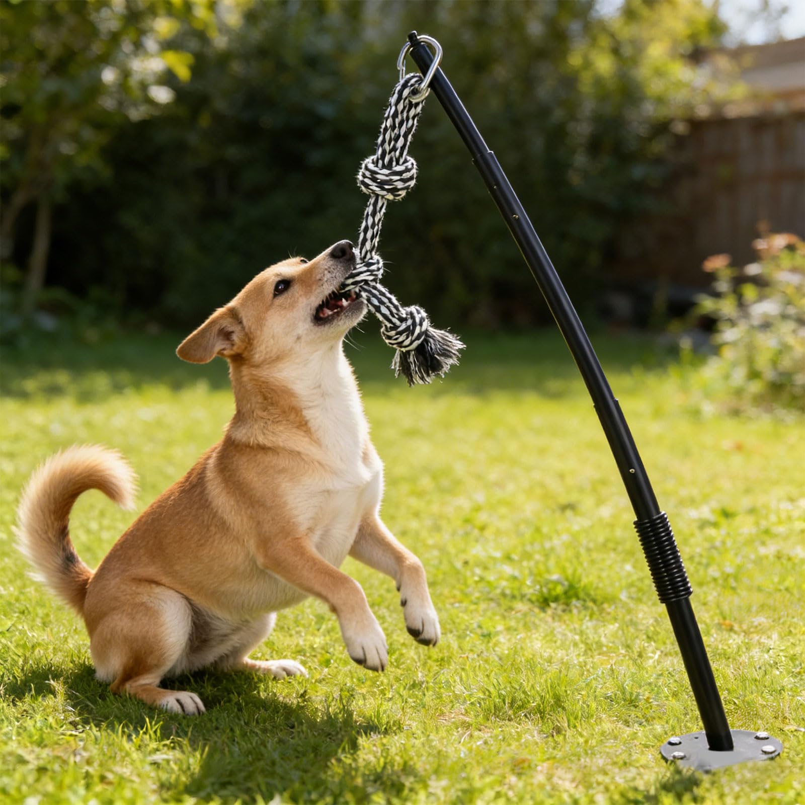 Giocattolo per cani con pali a molla elastici per esercizi gioco sicuri all ' aperto in giardino e cortili, giocattolo per esercizi regolabile facile installazione