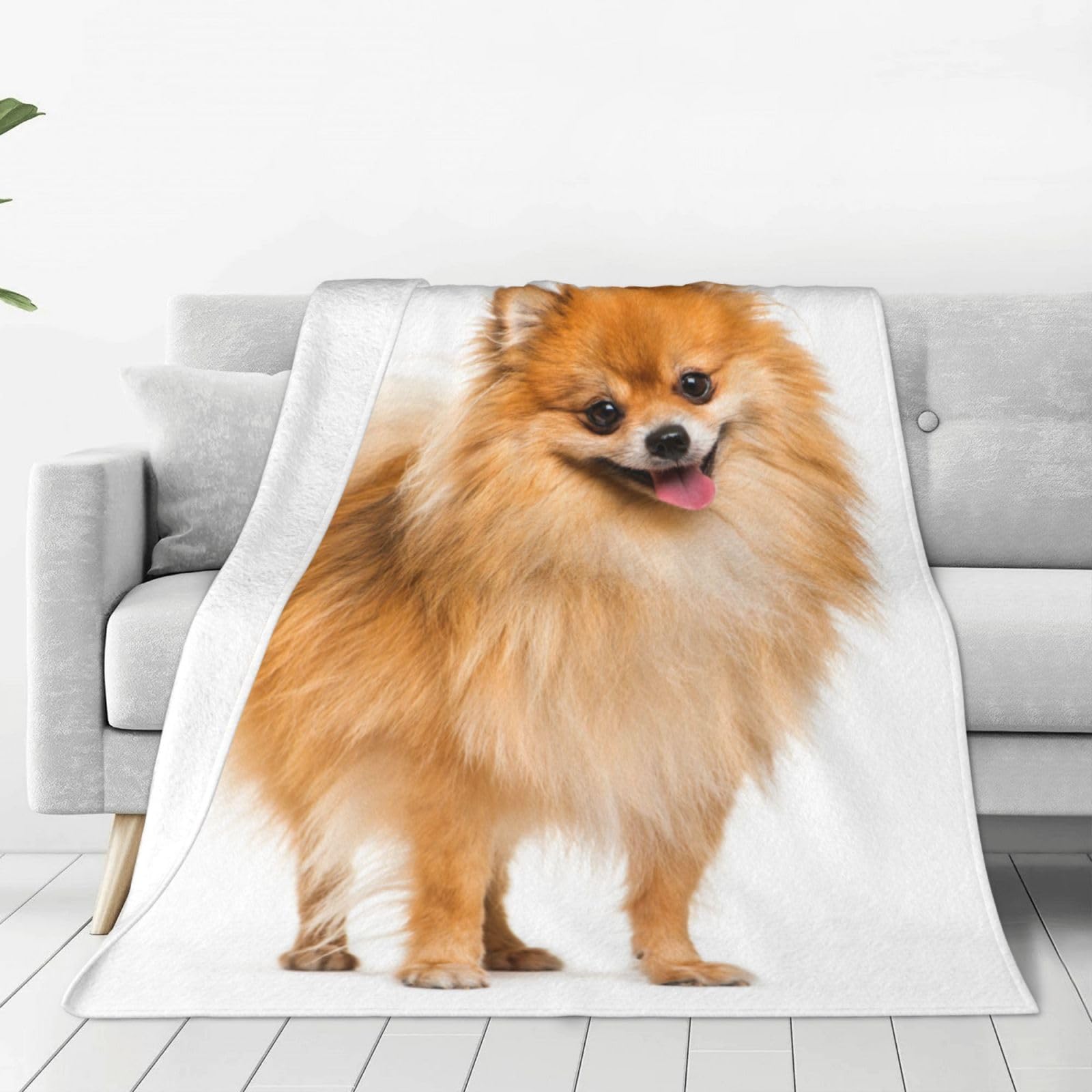 Amazon｜毛布 ポメラニアン 犬柄 ブランケット シングル 夏用 掛け毛布