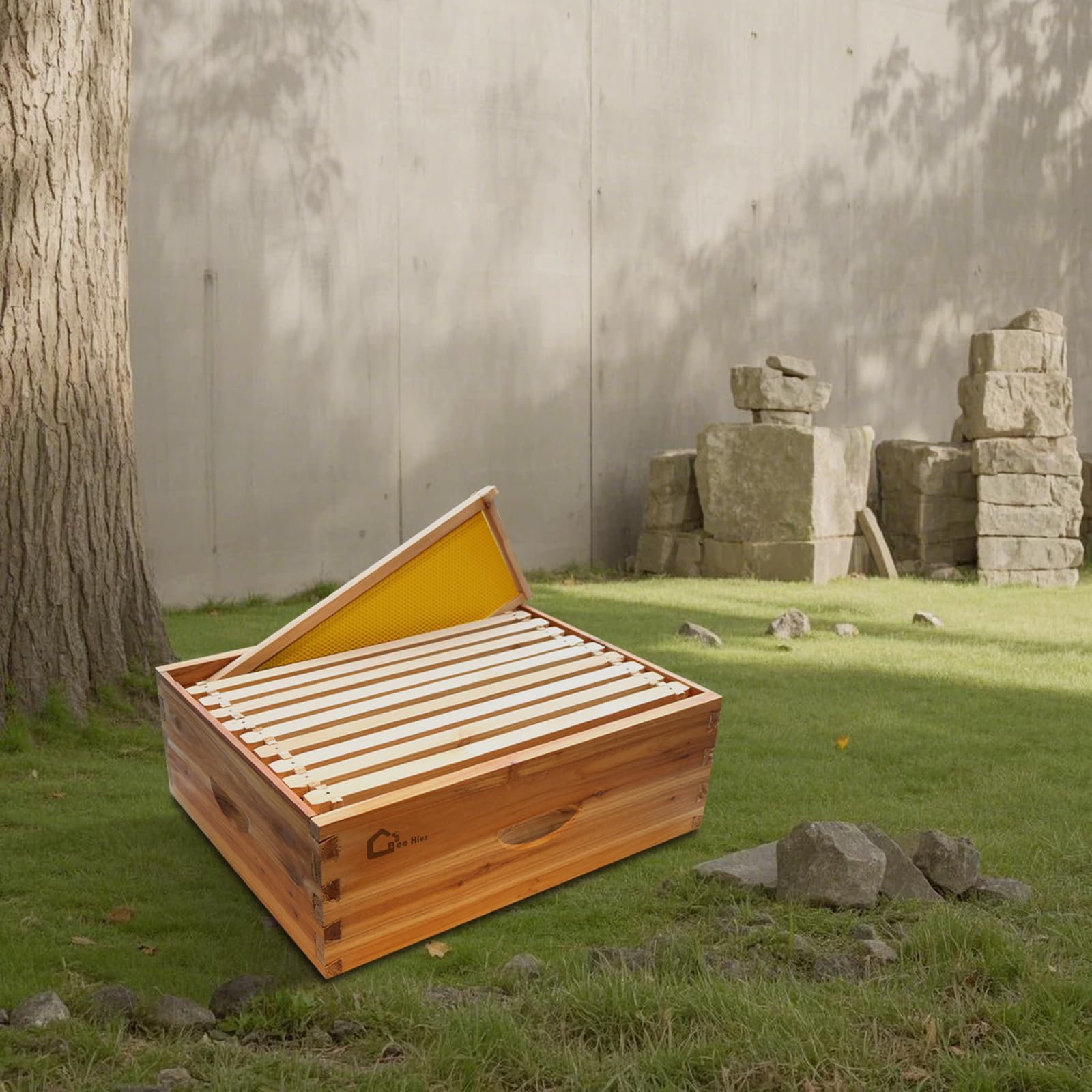 Kit de démarrage de ruche, boîte à essaim avec 10 rayons moyens, ruche en bois massif avec cadre en bois et fondation cirée, boîte de ruche durable, fournitures d'apiculture, maison d'abeilles 100