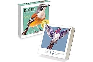 TF Publishing Realistic Bird Calendar
