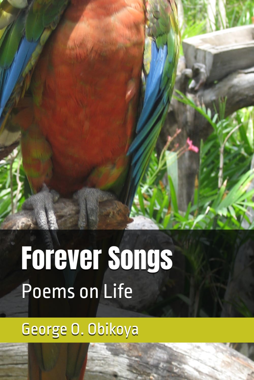 Forever Songs: Poems on Life