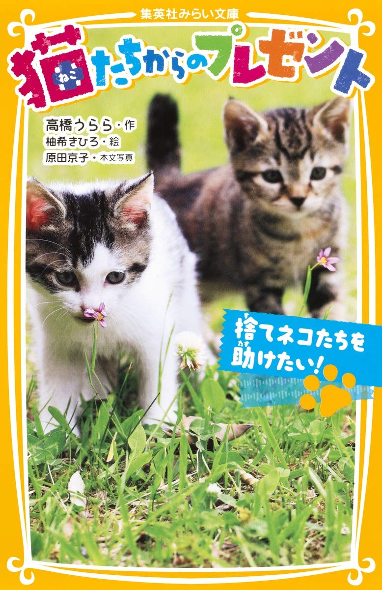 猫たちからのプレゼント 捨てネコたちを助けたい! (集英社みらい
