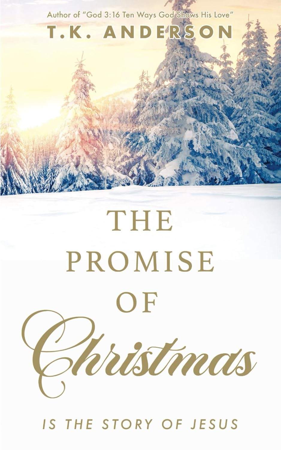 The Promise of Christmas