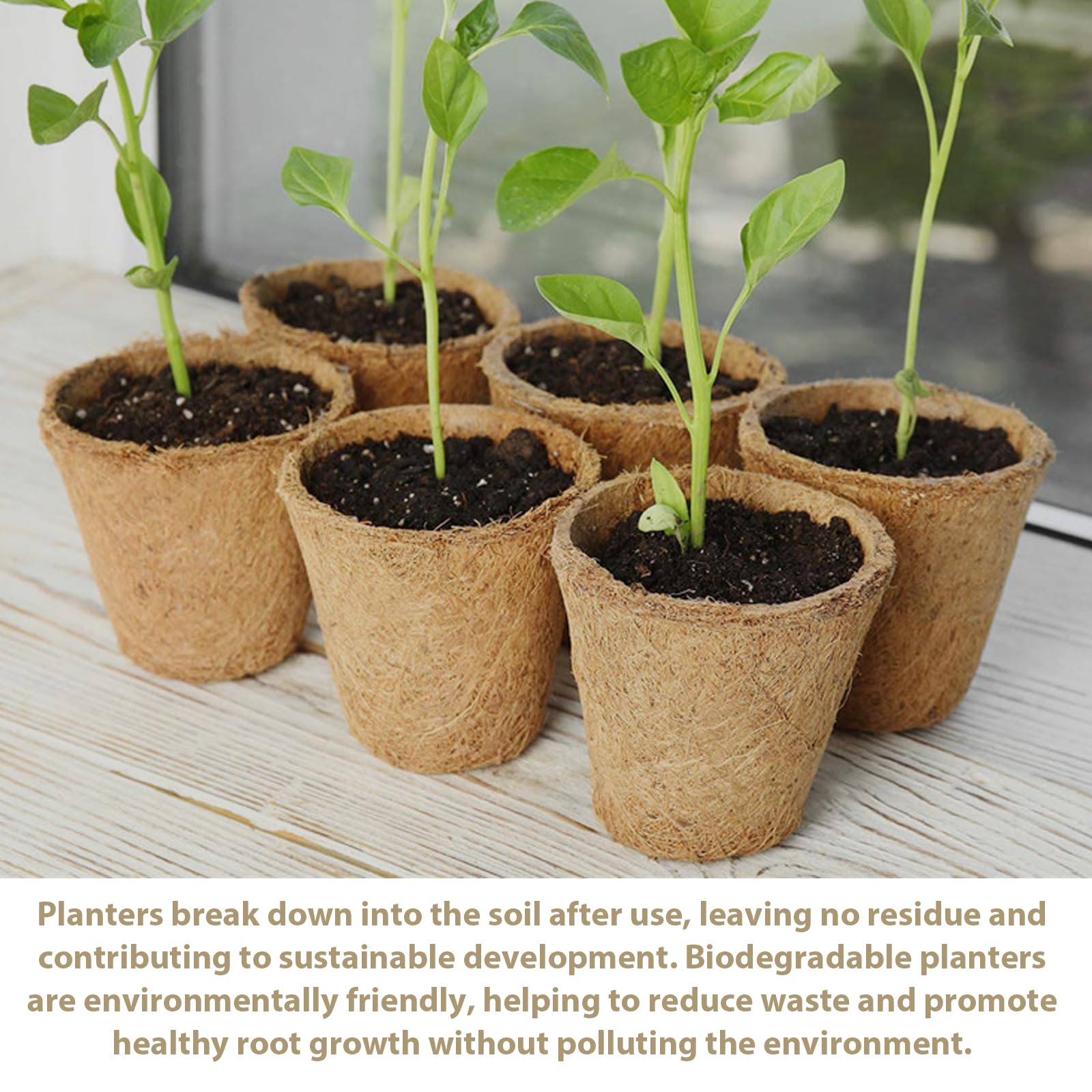 100 Piezas 6×5.5cm Macetas de Semillas Biodegradables: Maceta de Plántulas Biodegradable, Planteros Pequeñas Celulosa, Macetas Semillas Redondas, con Herramientas para Plantar, Invernadero