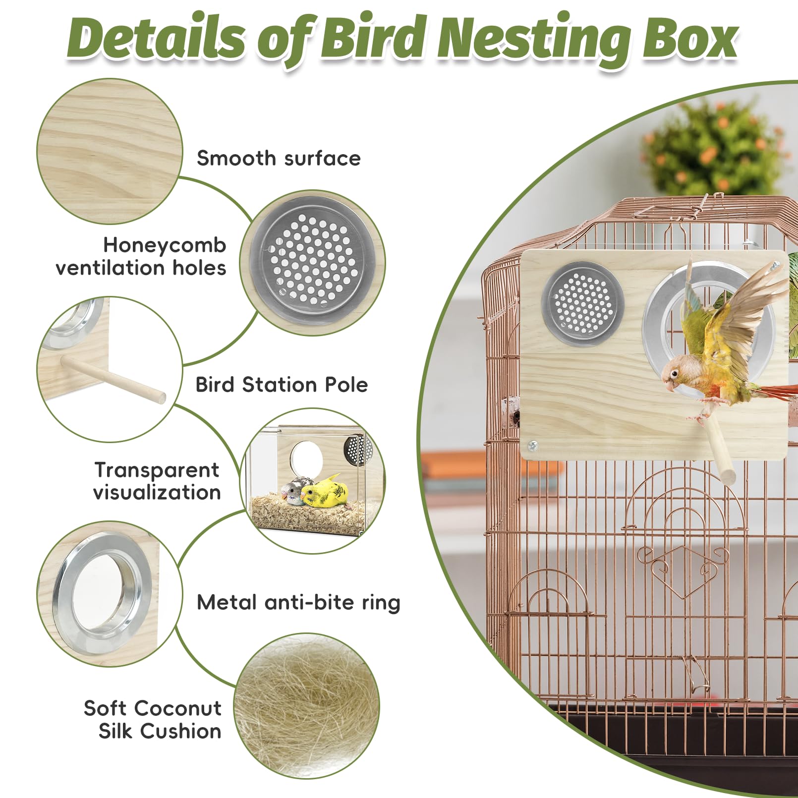 PINVNBY Caja de anidación y cría de acrílico transparente, para jaula, para casa de pájaros con percha, para periquitos, cotorras, loros, cacatúas, agapornis y pájaros pequeños (L: 20,5 x 15,8 x 10 cm