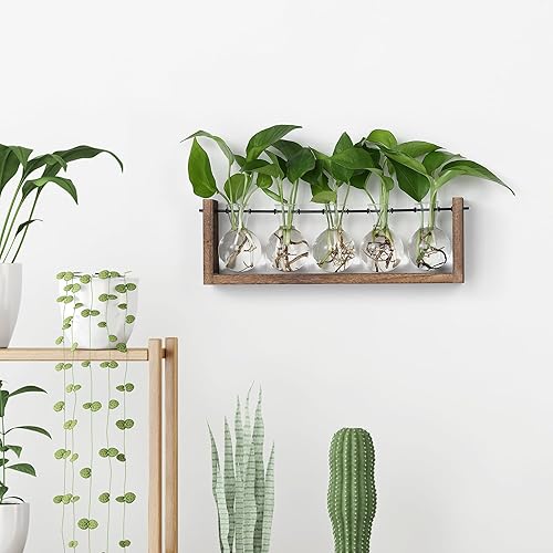 Miniatura 36 de YIBOT Estación de propagación de macetas para colgar en la pared, florero de cristal para plantas hidropónicas, terrario de plantas con soporte