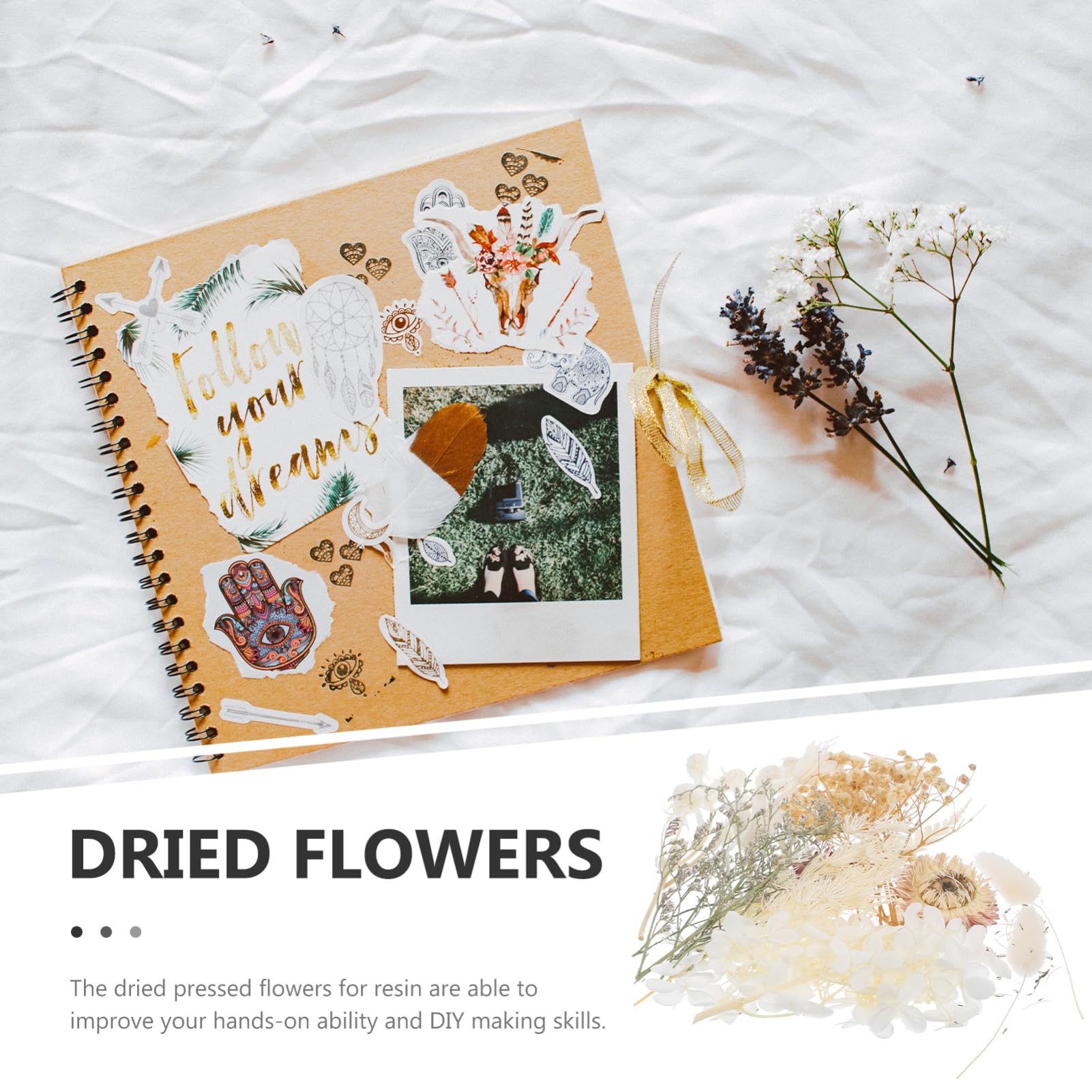 COHEALI 5sets Fiori Secchi Pressati Per Fiori Naturali Per Creazioni Candela e Decorazioni Fai Da Te Materiale Per Biglietti Di Auguri e Arte Unghie