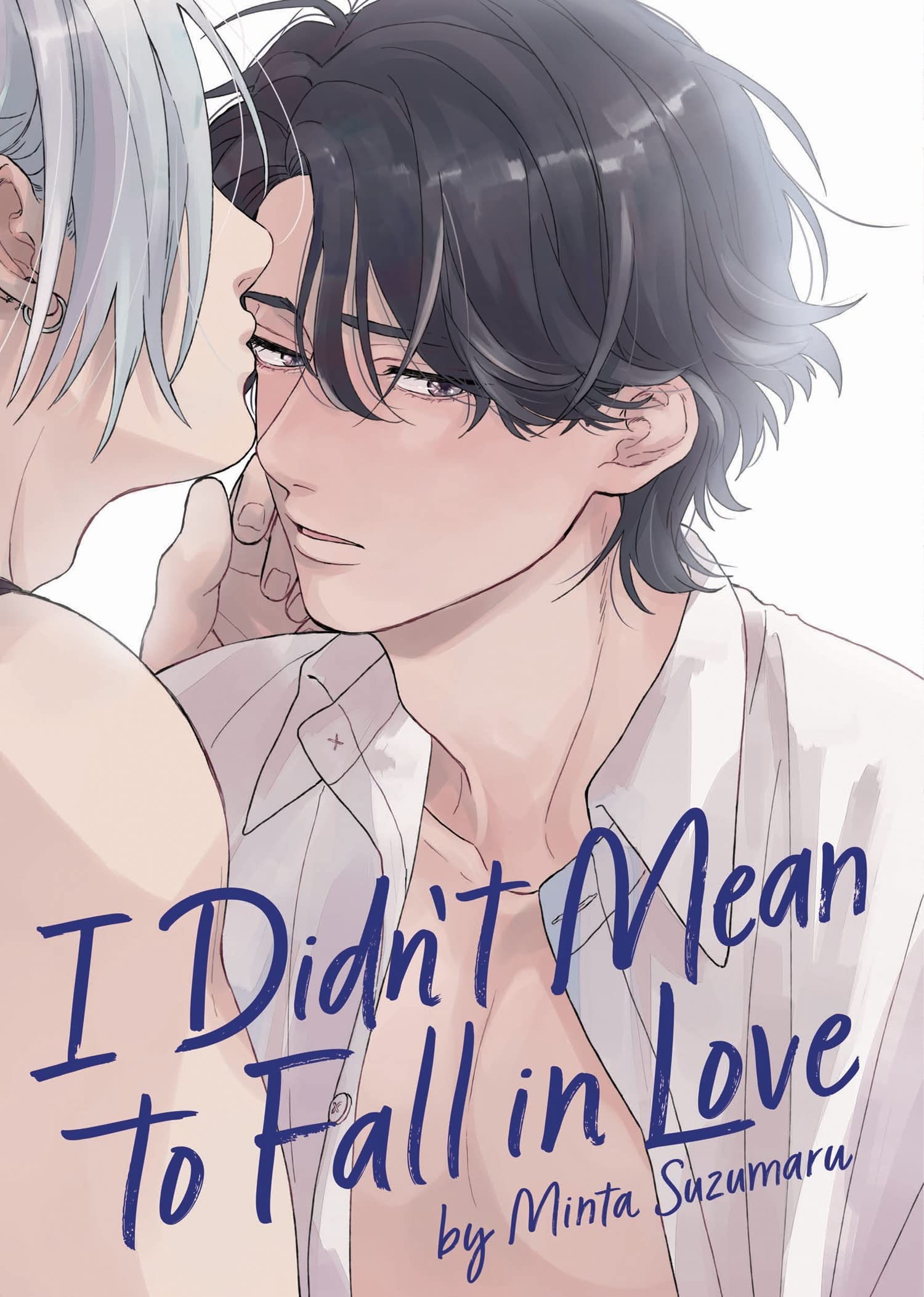 I Didn't Mean to Fall in Love: 1