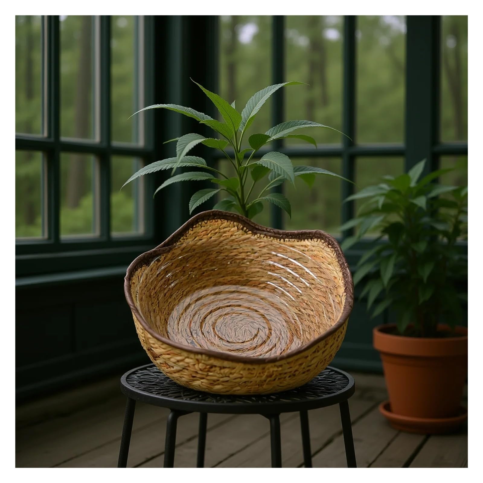 Wiklinowy kosz piknikowy, Woven Succulent Planter Storage Basket For Indoor Outdoor Plants Multiple Sizes(31cm x 16cm)