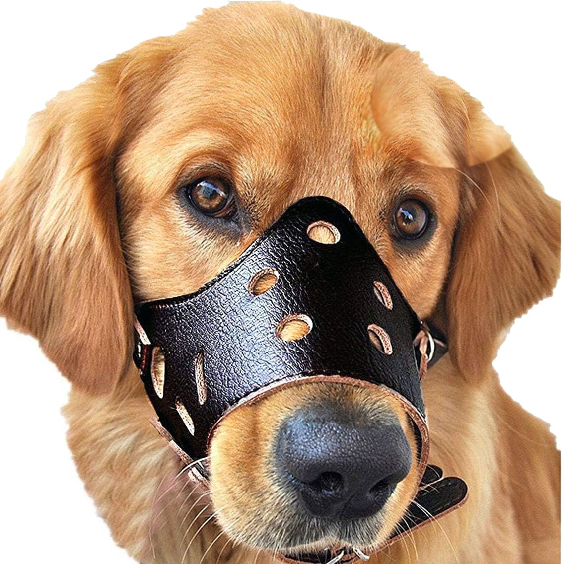 RvPaws Leather Adjustable AntiBite Mesh Guard, Dog Leather Breathable Biting and Barking Safety Mask, Metal Buclke (Large) (B0BZZB3LTS) Amazon Price History, Amazon Price Tracker