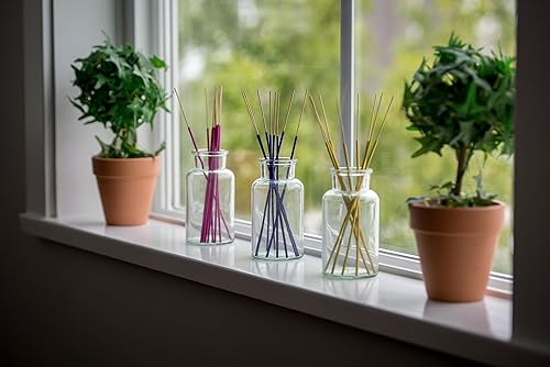 Miniatura 3 de Paquete de 12 tarros de boticario de 5 onzas  Tarros de vidrio con tapas de tapón de corcho, fabricados en Alemania, almacenamiento para especias,