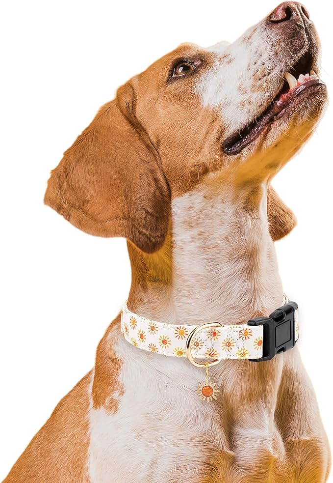 Collar ajustable para perro Beige Sun tamaño M miniatura 5