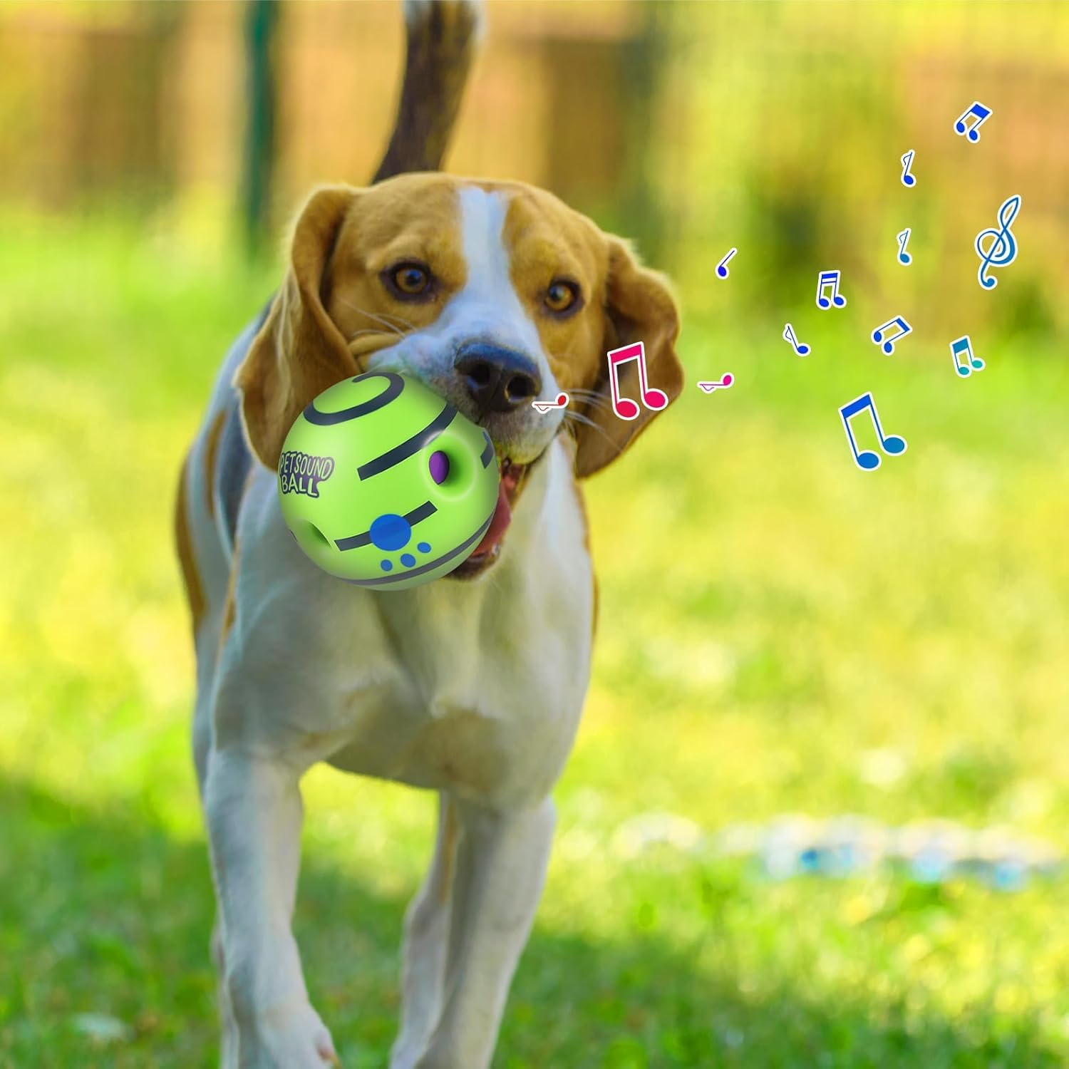 Tails Balle sonore interactive pour chiens et chiots | sons couineurs amusants | Matériaux sans danger pour les animaux de compagnie | Convient à toutes les races de chiens | Taille – Grands