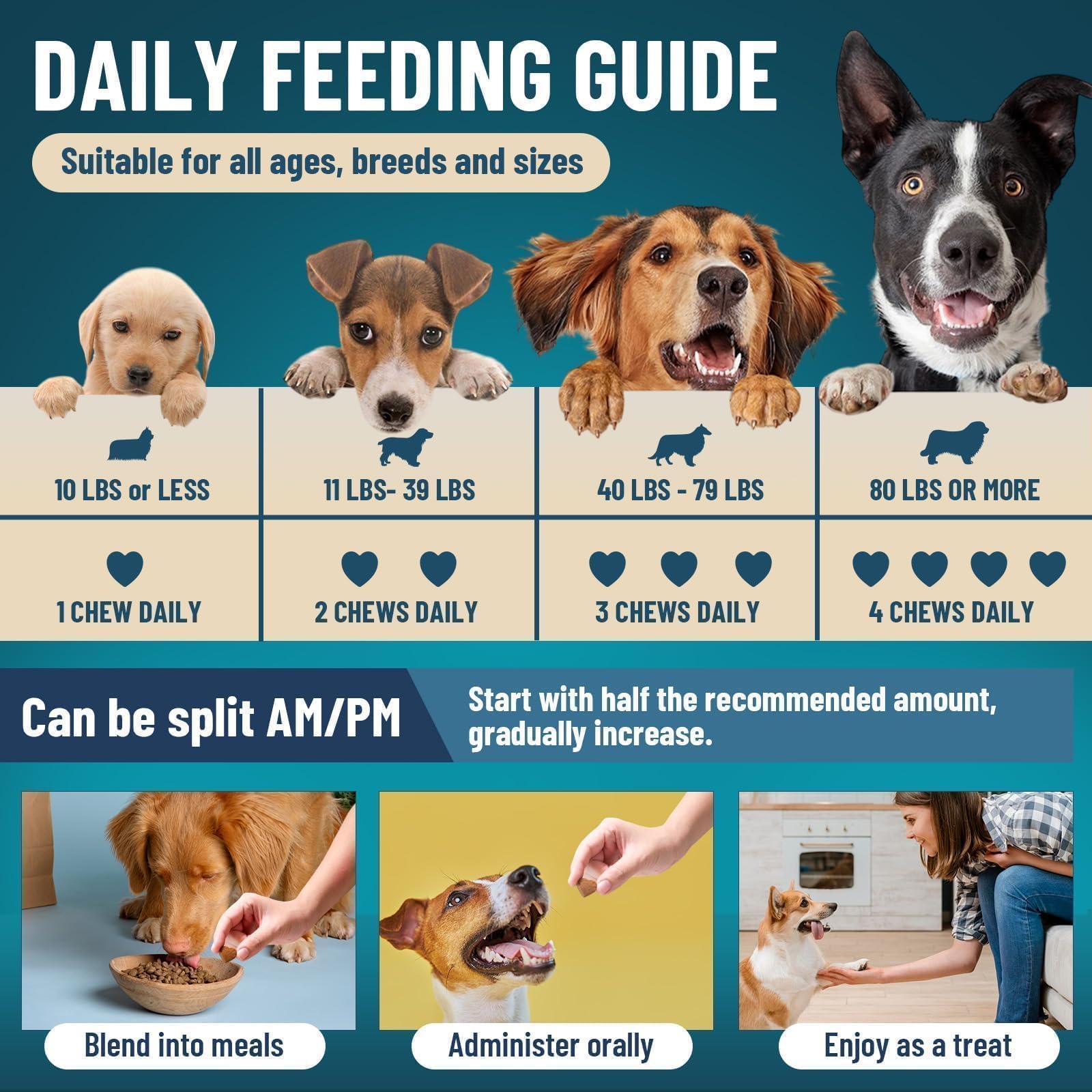 Dog Probiotics for Dogs, 200 Soft Probiotics Chews for Dogs Digestive Health Gut Health & Immune System, with 6 Probiotics & Digestive Enzymes, Support Itchy Skin, Constipation & Diarrhea Relief - image 5