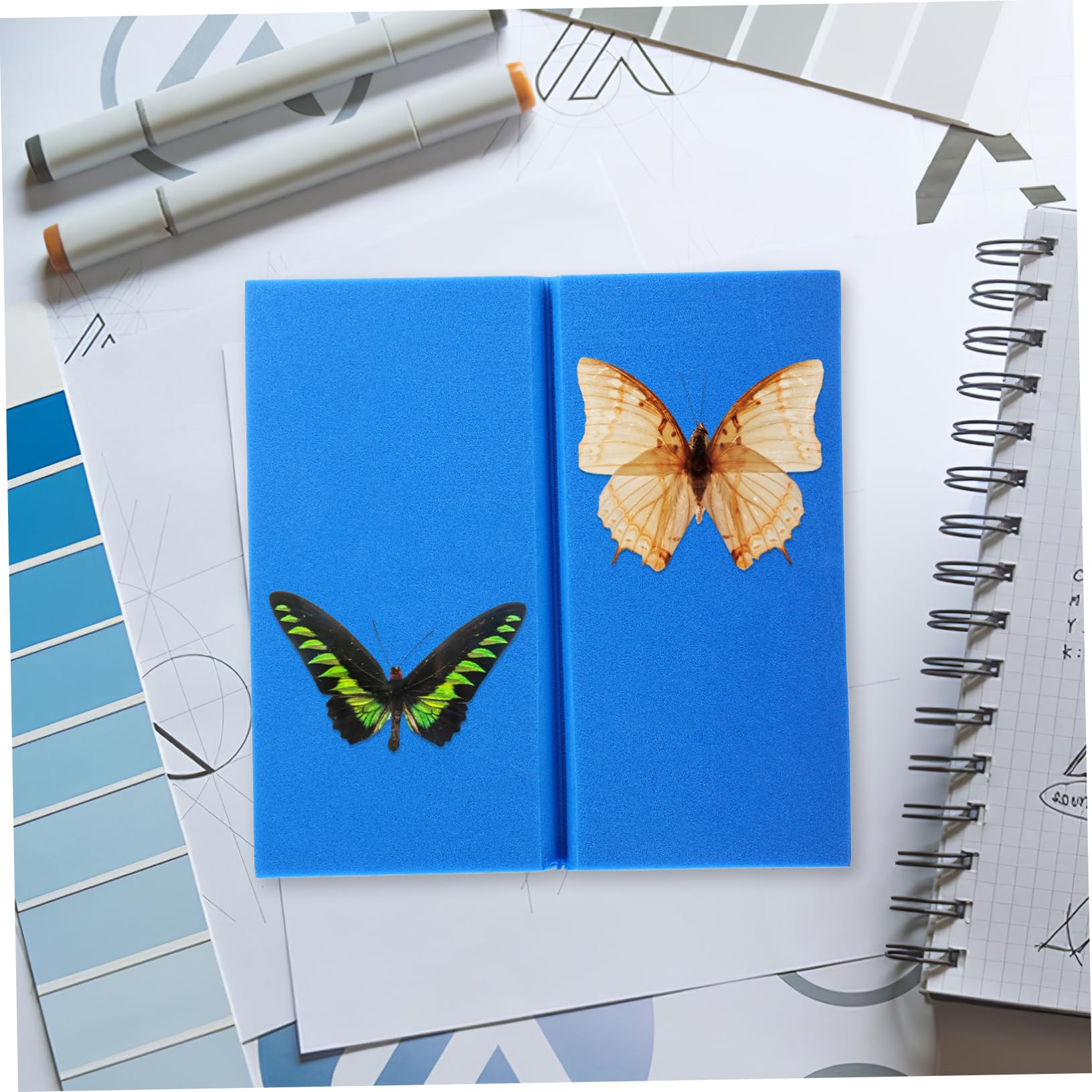 PartyKindom Kit 3 Pannelli Montaggio Farfalle - Display Professionale Per Insetti Con Schiuma EVA - Foto 3