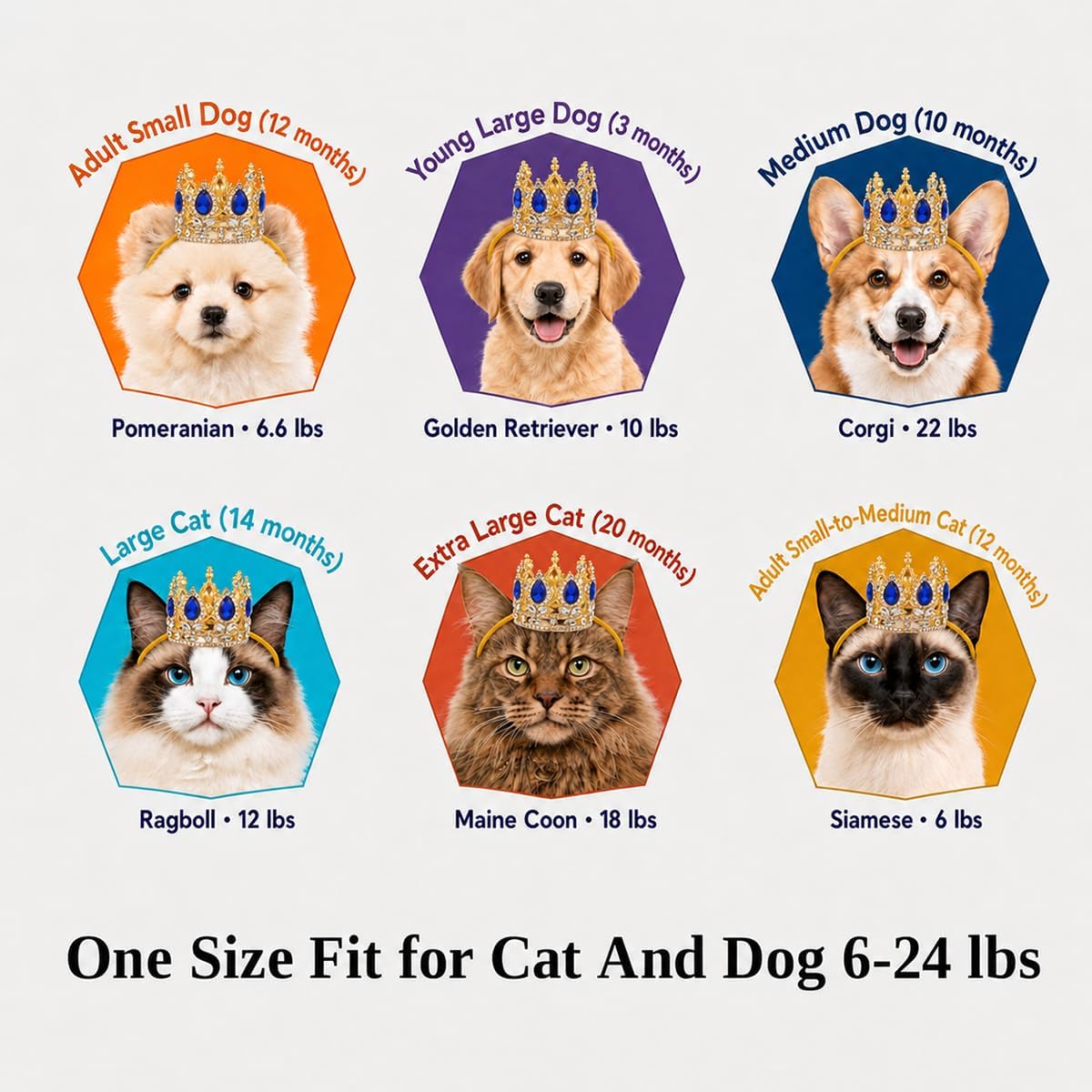 Gold Crown for Small Dog and Cat, Blue Rhinestone with Adjustable Buckle | Gold and Blue Tiara for Dog and Cat, Dog Birthday Party Decorations, Halloween Wedding Photo Prop Costume Accessories