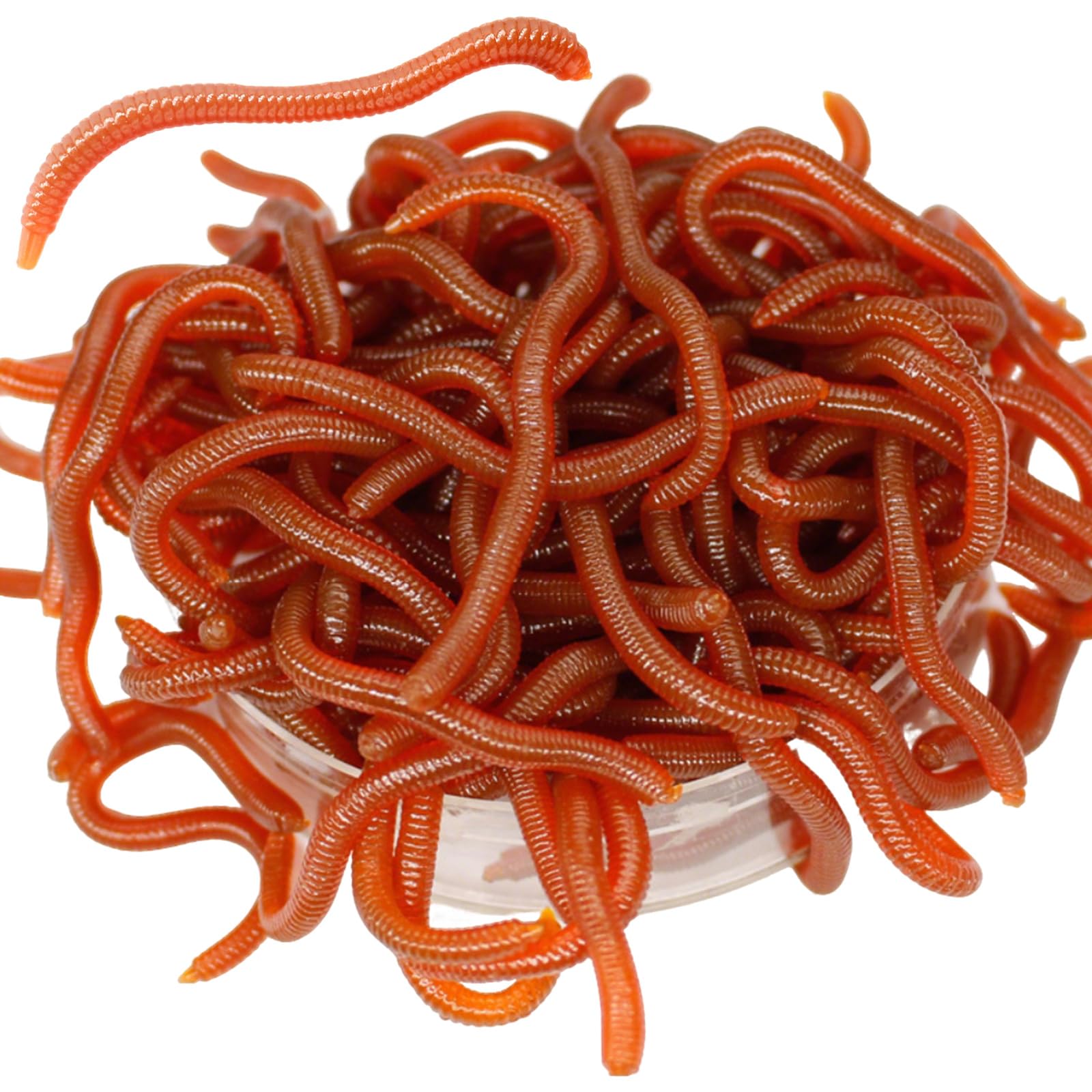 Artificial Fishing Worms Night Crawlers 10cm Worm Shaped Fishy Smell Soft Fishing Lure Baits Artificial Earthworm With Box For Fishermen Lure