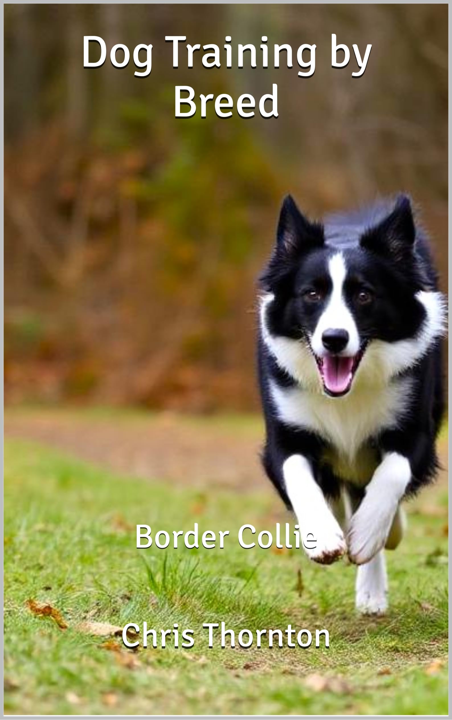 Dog Training by Breed: Border Collie