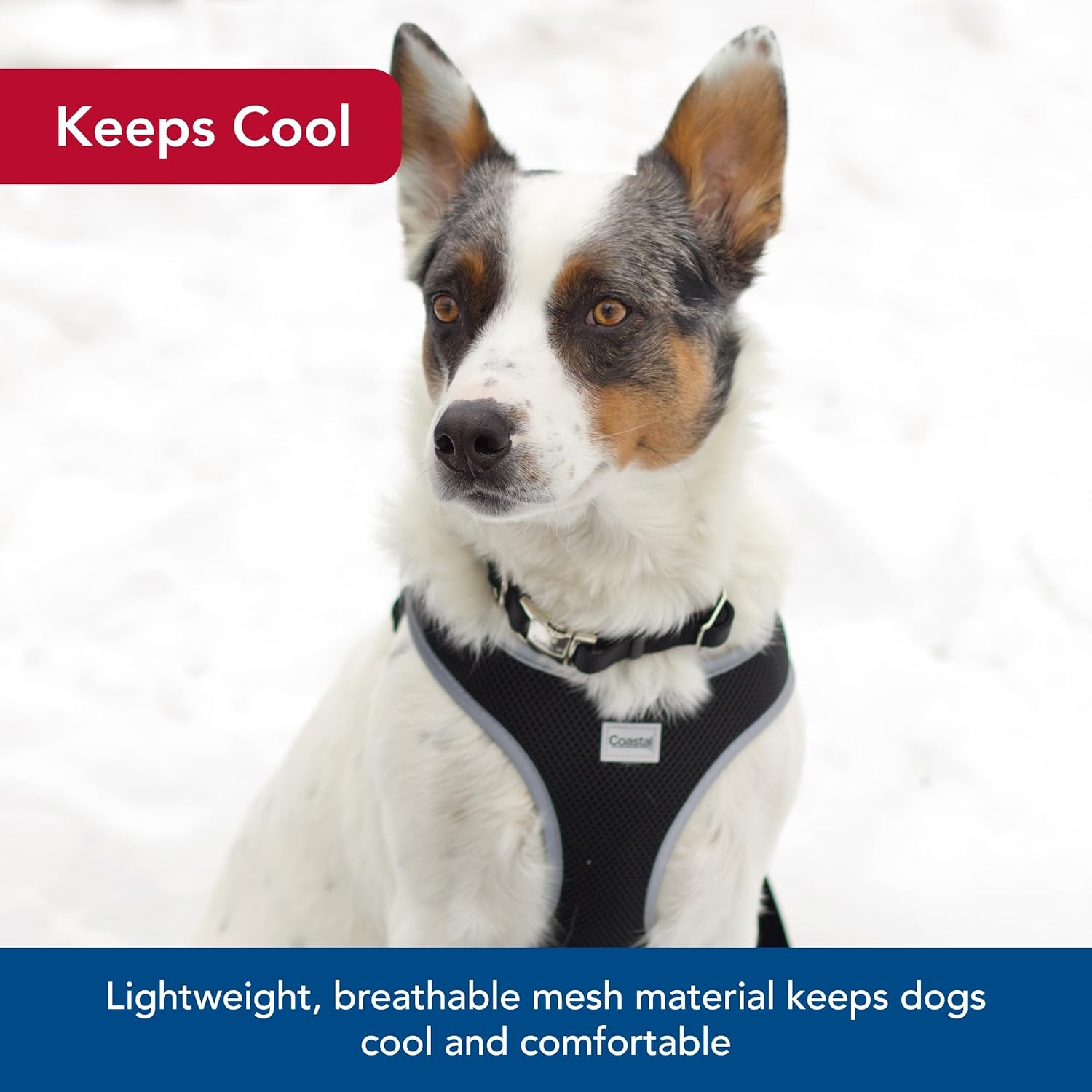 Coastal Pet Comfort Soft Reflective Wrap Adjustable Dog Harness - No-Pull Dog Harness for Small & Large Dogs - Black - 5/8" x 19"–23"