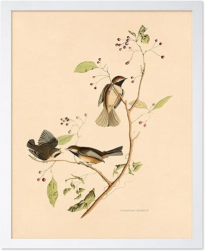 Miniatura 24 de Poster Master Póster de flores vintage, estampado botánico retro, arte floral antiguo, arte de plantas, regalo para hombres y mujeres, gran