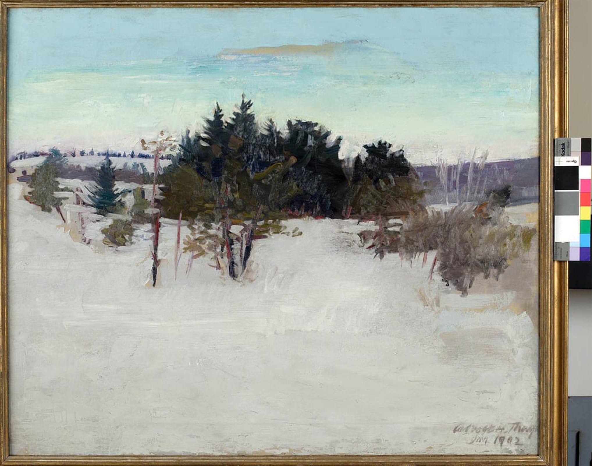 POSTERIIk Famous Animal Posters Vintage Picture Winter Landscape by Abbott Handerson Thayer Modern Wall Decor for Home Decor 60x90cm