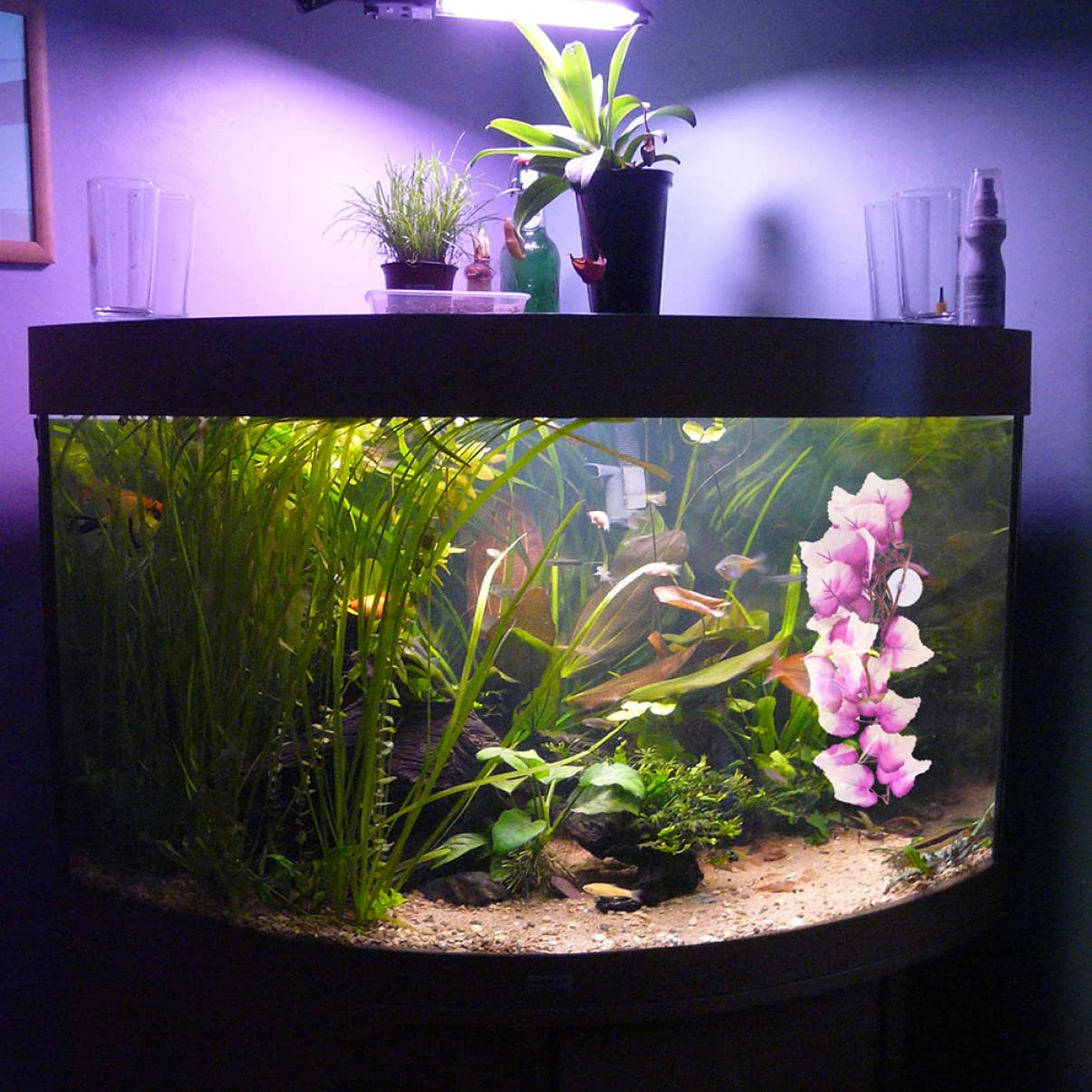 Kisangel 3 Ensembles Aménagement Paysager pour Animaux De Compagnie Rotin Reptile Tortue Accessoires Gecko Accessoires Fausse Plante Plante Serpent Cache-Serpent Plantes Décor 2 pièces * 3