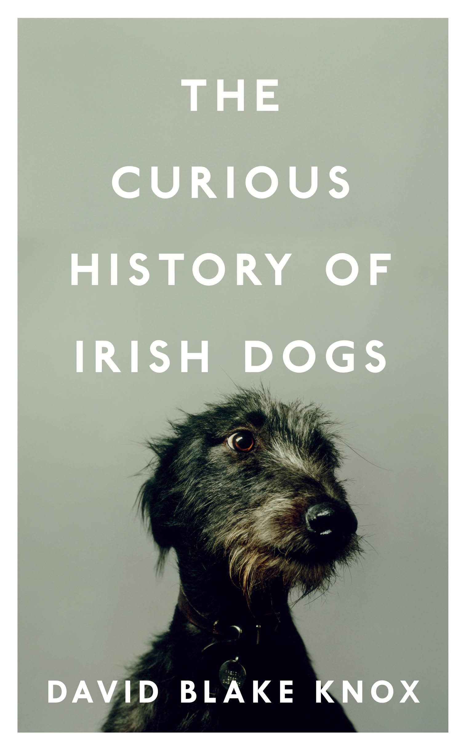 Buy The Curious History of Irish Dogs — BookShops.in