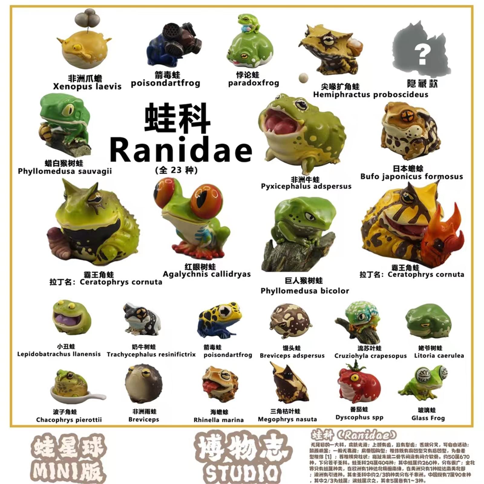 Amazon | 博物志 全23種 カエル アマゾンツノガエル ミツヅノ
