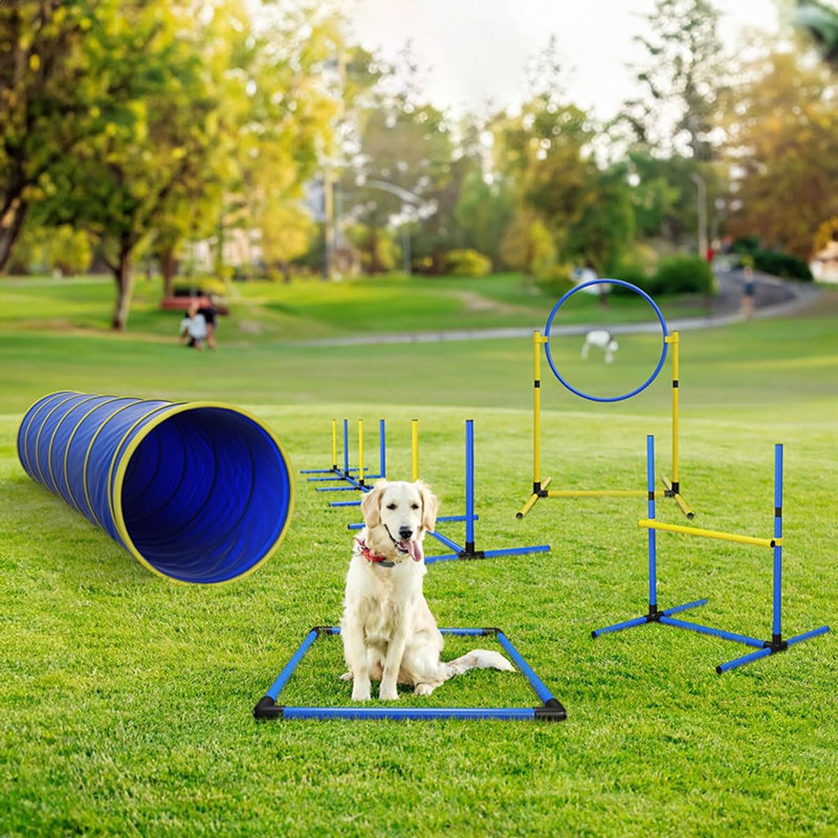 Hunde-Agility-Trainingsgeräte-Set, Hunde-Agility-Hindernistrainingskurse-Kit mit Hundetunnel, Agility-Webstangen, verstellbare Hürden