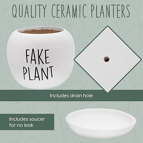 Miniatura 7 de Macetero de planta falsa; pequeño recipiente decorativo de resina para jardinería en interiores y exteriores