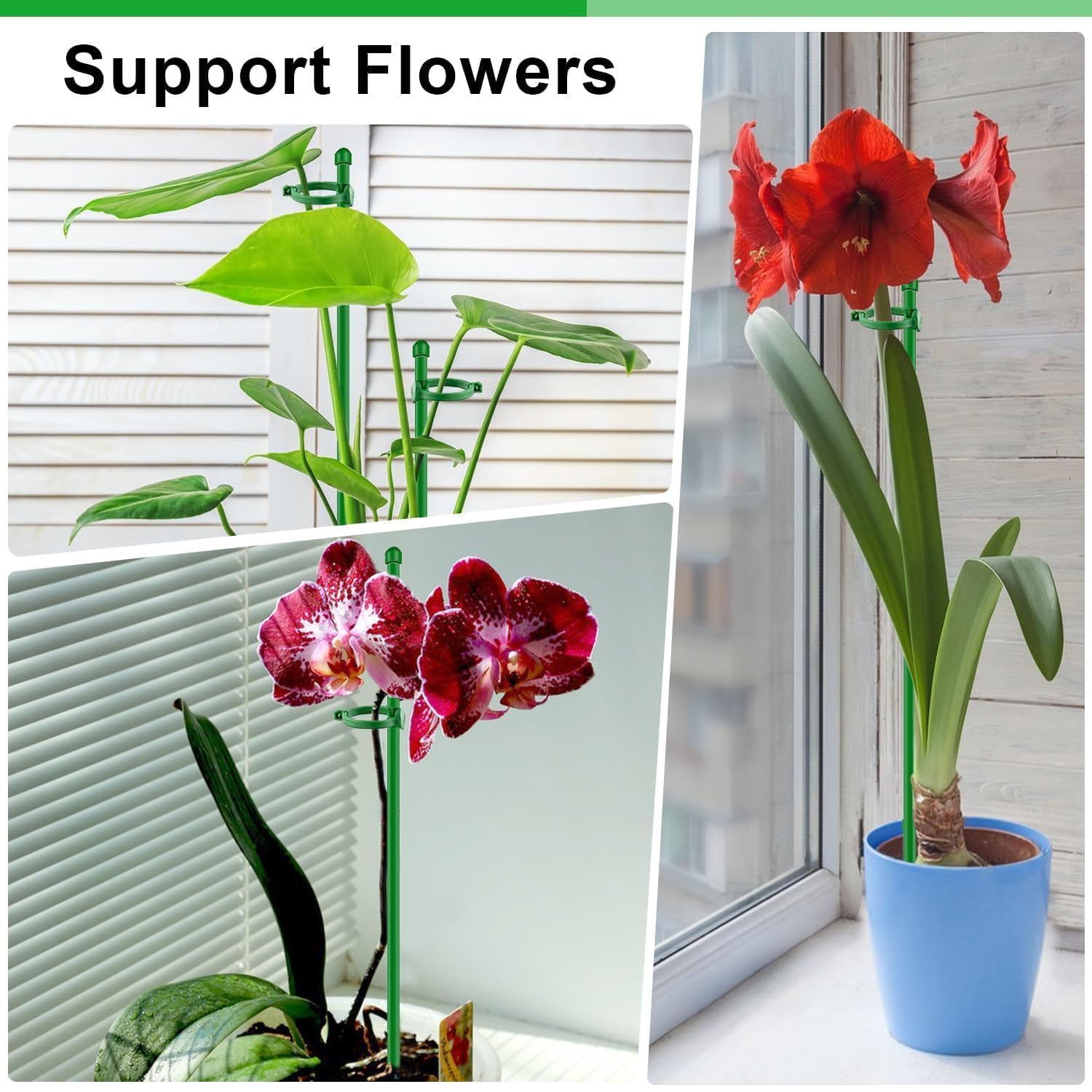 SupKing paliki do roślin 43 cm, regulowana długość, palik podtrzymujący rośliny, 20 szt., paluszki do orchidei z klipsami, do użytku wewnątrz i na zewnątrz, słupki ogrodowe do pomidorów doniczkowych,