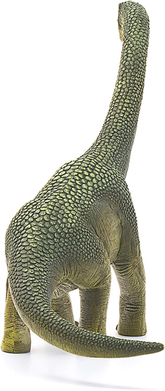 Schleich Dinosaurs - 9.5" Brachiosaurus - Realistic, Durable Green Dinosaur Toy - Educational Fun Long Neck Dino Figurine for Boys and Girls - Montessori Figures for Kids Ages 4+ | 14581 - Image 7
