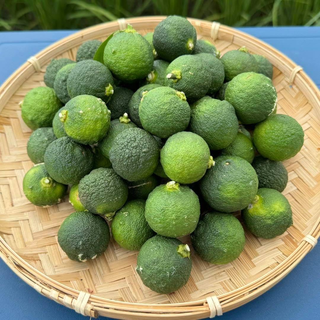 青柚子(本柚子)キズ混ざり10kg強、ご入金確認後に集荷し発送致し 青柚子 2kg