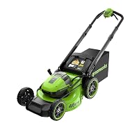 Greenworks 48V (24V x 2)