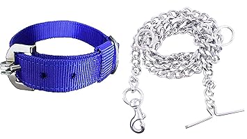 RvPaws Dog Belt Combo of Dog Collar with Dog Chain Specially for Small & Medium Dogs (3/4 Inch Under Weight 10-25 kg, Blue)