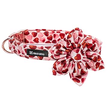 Maca Bates Dog Collar with Bow- Cute and Removable Bow Tie for Dogs, Adjustable Dog Bow Tie Collar for Small Medium Large Girls and Boys, Female or Male Gift (M, Hearts Flower)
