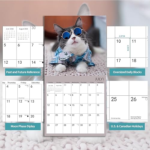 Calendario de pared 2025, calendario 2025, calendario mensual de pared de gatos gruesos, 12 x 24 pulgadas abierto, planificador familiar con