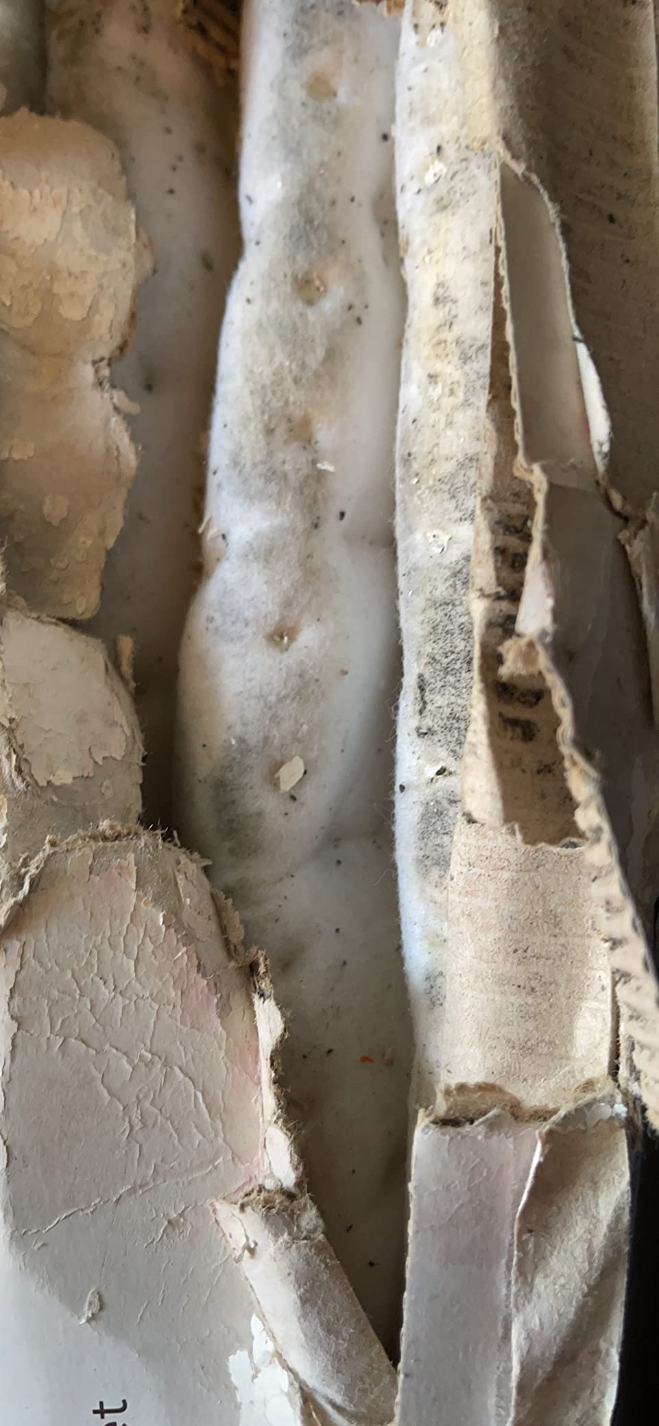 Beurer TS15 Ecologic+ Heated Underblanket Double Electric Blanket