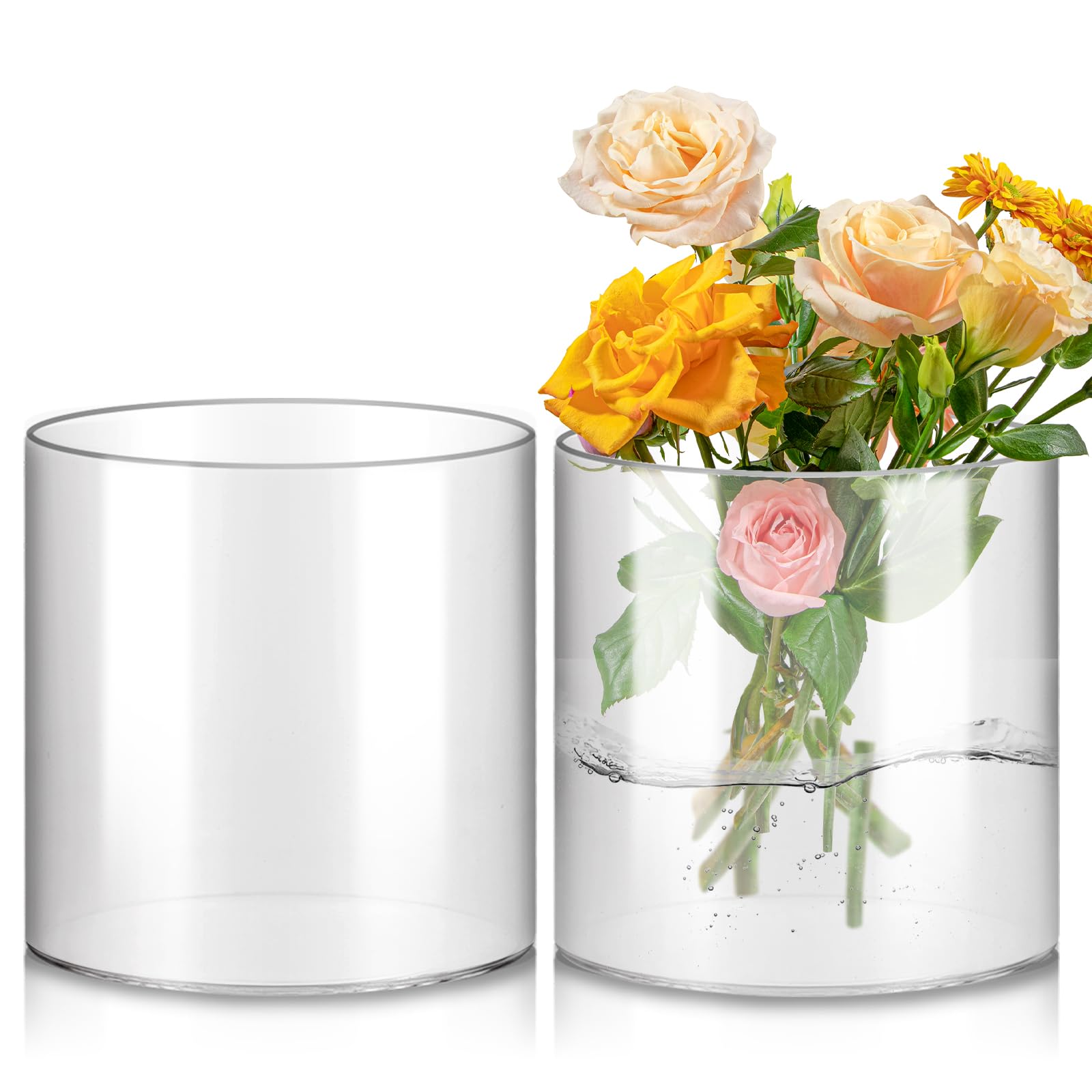 APACALI 2 pezzi vaso cilindrico in vetro, 15 cm di altezza, vaso cilindrico per fiori, vaso in vetro trasparente rotondo, vaso in vetro chiaro, vaso per fiori in vetro per orchidee, rose, tulipani