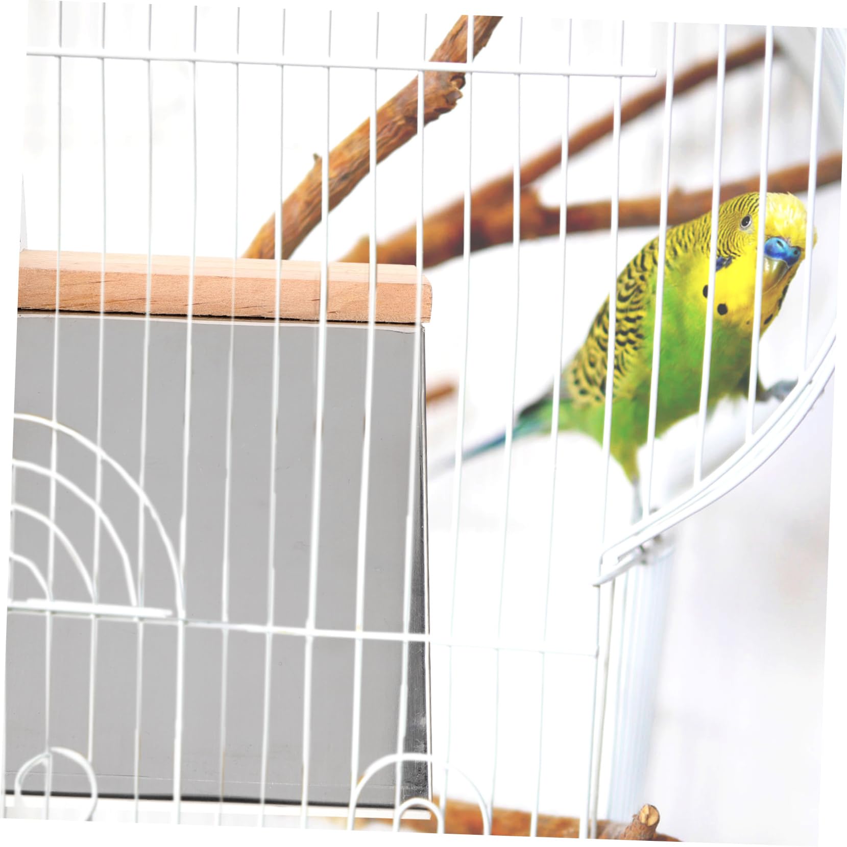 HANABASS 2pièces Perchoir Bois pour Pigeons Support de Repos Arbre à Oiseaux Jouet pour Animaux