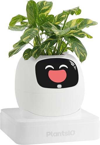 PLANTSIO Ivy Pot de fleurs intelligent pour la décoration…