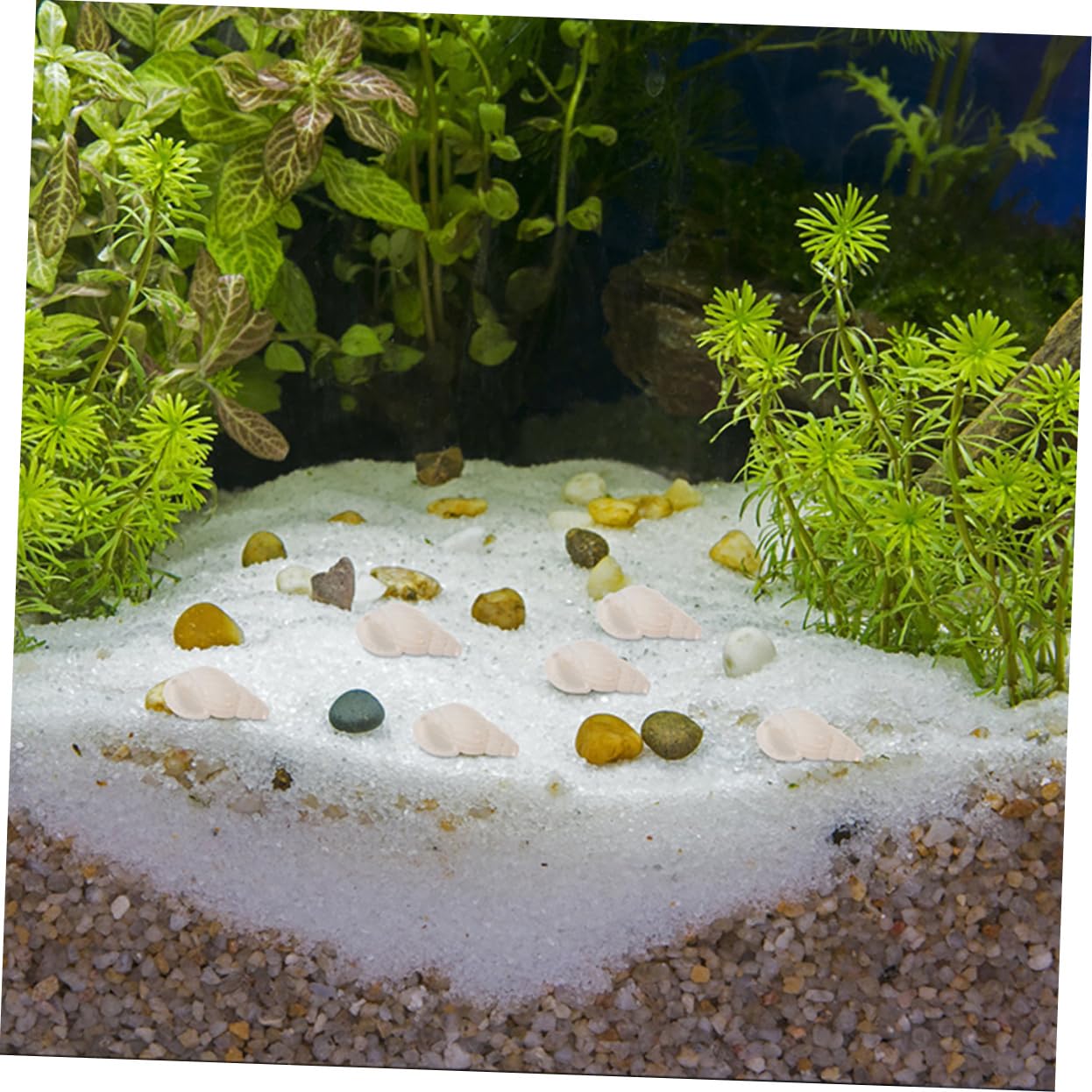 ULTECHNOVO 5 Set Decorazione A Conchiglia Conchiglie Mini Conchiglie Decorazioni per Acquari Piccoli Acquari A Forma di Conchiglia Decorazioni per Acquari A Forma di 400 Pezzi * 5