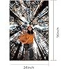 Product Photo 2