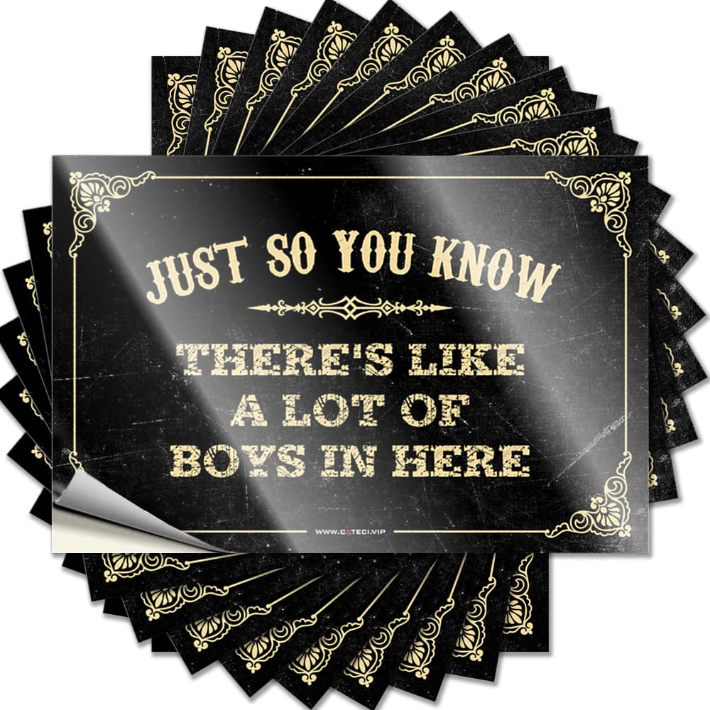 Bar Stuff Bottle Decal | Just So You Know There's Like A Lot of Boys in Here Aesthetic Durable Vinyl Sticker Easy Apply for Quick(12X18CM)