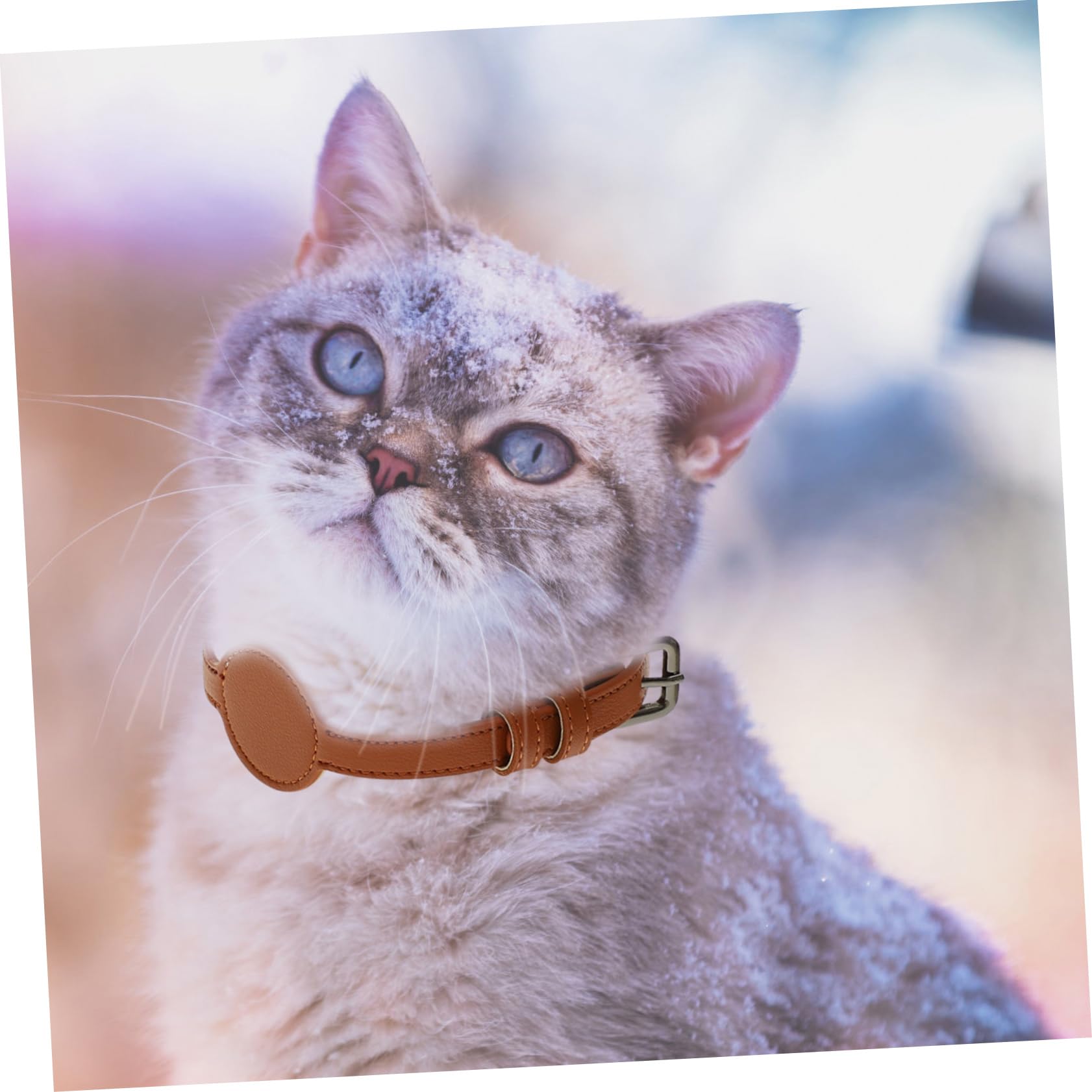minkissy 5stücke Pets Tracer Für Pu-Material Leichtes Design Für Outdoor-aktivitäten Mit Tracer-behälter Komfortable Passform Für Und Kleine Hunde