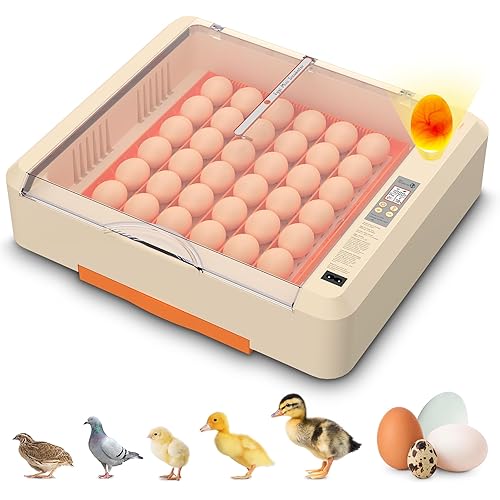 36-60 Egg Incubator with Automatic Egg Turning and Humidity Control, Adjustable Chicken Egg Incubator with Digital Display, for Hatching Eggs Include Chicken Duck Quail Eggs(Orange)