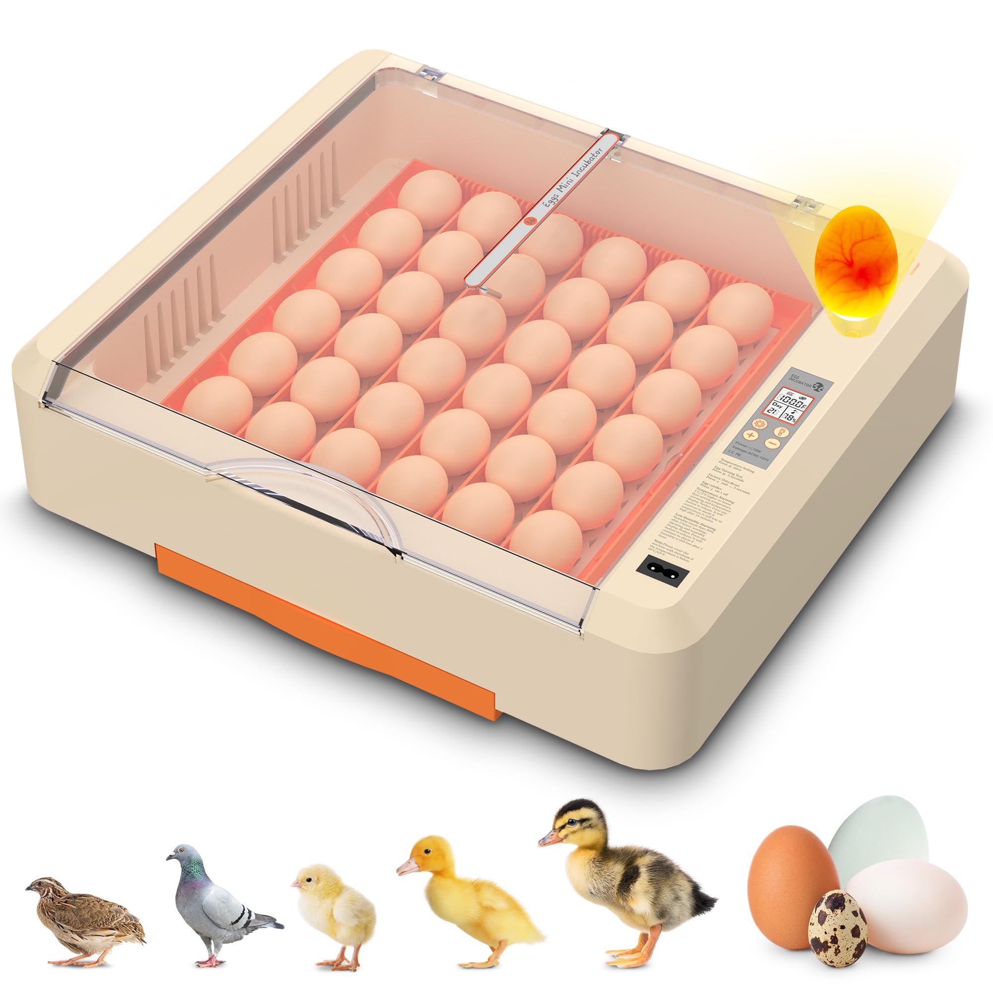 Incubadora de huevos 36-60 con giro automático de huevos y control de humedad, incubadora de huevos de gallina ajustable con pantalla digital, para incubar huevos, incluye huevos de codorniz